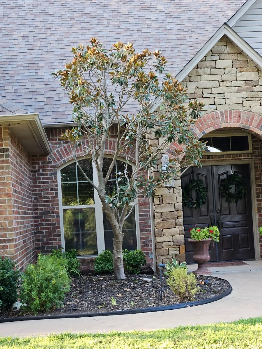 Serna lawn care and landscaping and tree service LLC — landscape designer