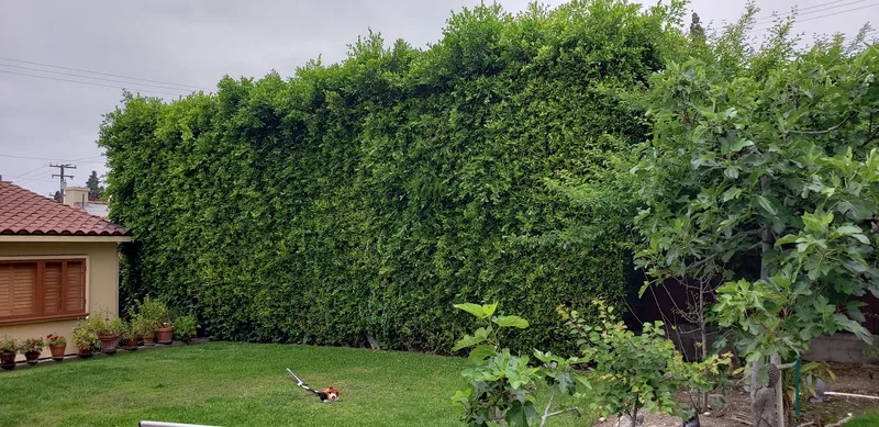 Serna lawn care and landscaping and tree service LLC — landscape designer (photo 12)