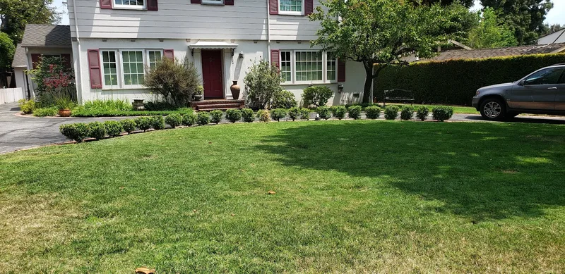 Serna lawn care and landscaping and tree service LLC — landscape designer (photo 14)