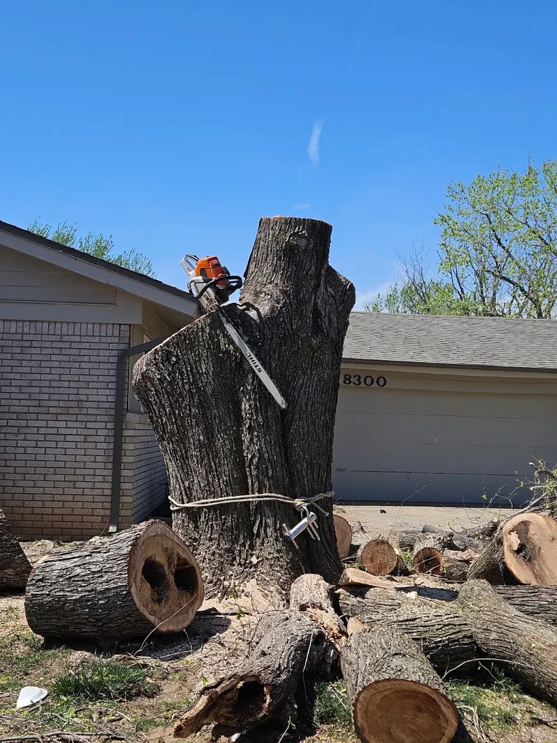 Serna lawn care and landscaping and tree service LLC — landscape designer (photo 17)