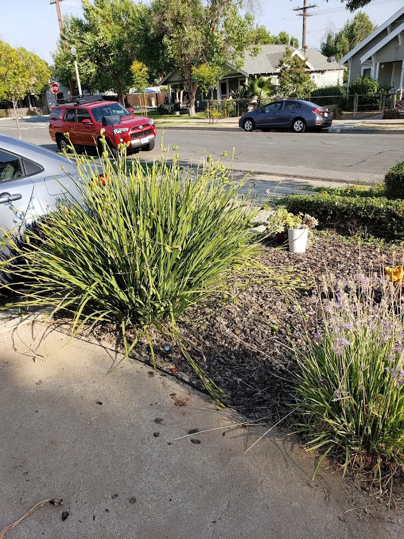 Serna lawn care and landscaping and tree service LLC — landscape designer (photo 18)
