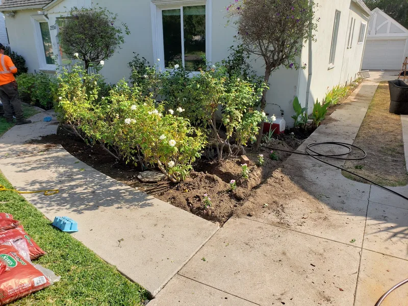 Serna lawn care and landscaping and tree service LLC — landscape designer (photo 5)