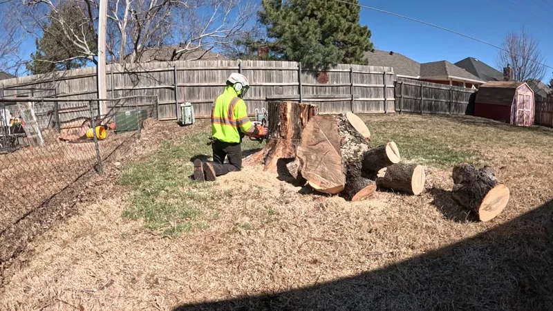 Serna lawn care and landscaping and tree service LLC — landscape designer (photo 7)